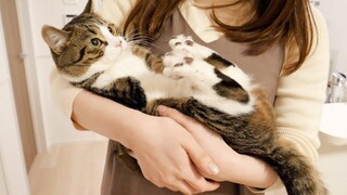 น้องแมวโกโก้น่าจะเขินแต่กลับกลายเป็นแบบนี้
