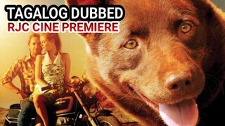 RED DOG TAGALOG DUBBED