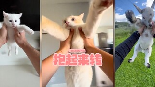 8月最后一个趋势：把宠物抱起来旋转💗🙃