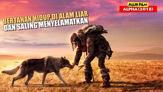 Bertahan Hidup Di Alam Liar Bersama Serigala | Alur Cerita Film ALPHA (2018)