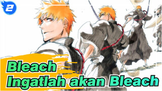 Bleach | [Keepikan Didepan / Pesat Visual] Ingatlah Nama Bleach_2