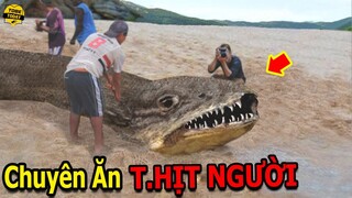 🔴Khóc Thét Với Những Thủy Quái Đại Dương Nguy Hiểm Và Đáng Sợ Nhất Từng Bị Con Người Bắt Được