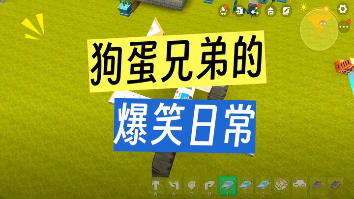 Dog Egg Brothers’ Hilarious Everyday Life