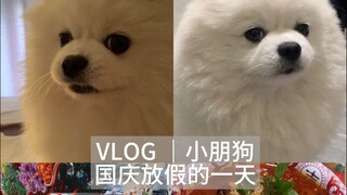 VLOG｜วันหยุดวันชาติของเจ้าหมาน้อยขี้เซา