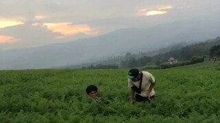 jengkoang kota wisata batu