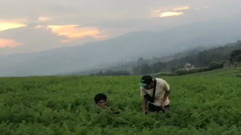 jengkoang kota wisata batu