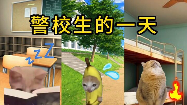 【Cat meme】A day in the life of a police academy student