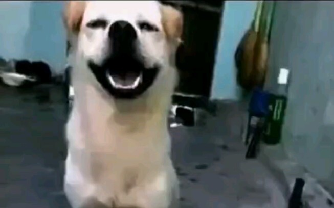 Câu chuyện tình yêu Quảng Đông