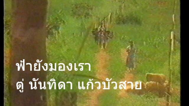 ฟ้ายังมองเรา | ตู่ นันทิดา แก้วบัวสาย