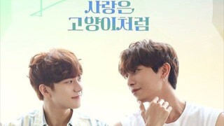 LOVE IS LIKE A CAT EP4 /SUB INDO