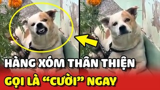 Em chó hàng xóm "THÂN THIỆN": kêu cười là CƯỜI NGAY 😂 | Yêu Lu