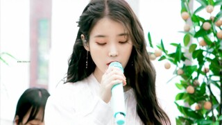 [IU/Lee Ji Eun] New song "Eight"