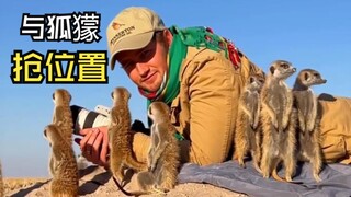 Those hilarious animal videos!