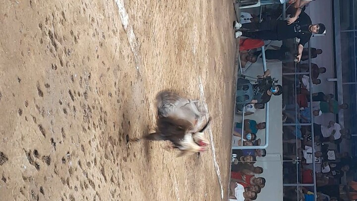 colesio de manila hiraw win