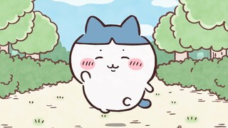 chiikawa | 会吐舌头的小八宝宝换发型啦