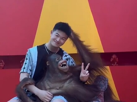 أي حركة عشوائية يمكن أن ترعبني حتى الموت.