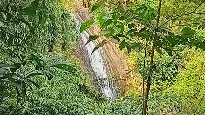 bahaw fall's🏞️🍃