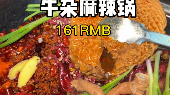 I came to Chongqing just for this spicy, numbing beef offal hot pot!