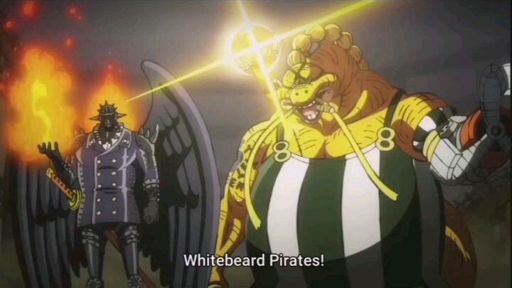 the wings of pirate king
