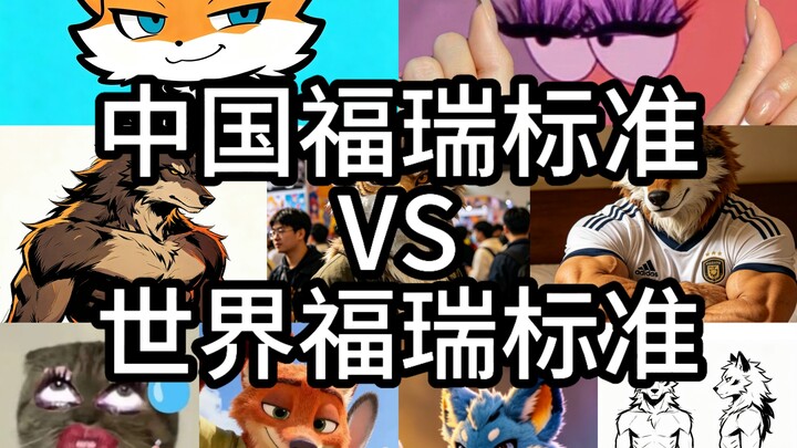 Chinese Furui Standards vs. Global Furui Standards