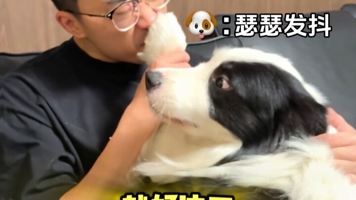 养狗人的双标行为