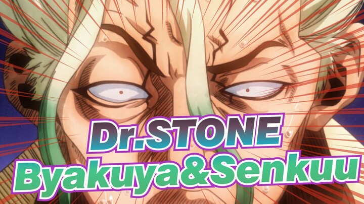 Dr.STONE | [AMV SEDIH] Via Byakuya, Mengagumi Senkuu