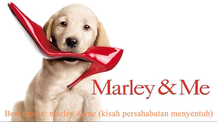Marley & Me