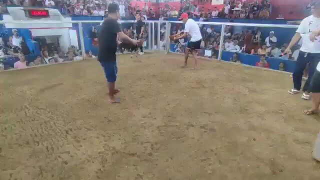 bulakan bulacan 2hits