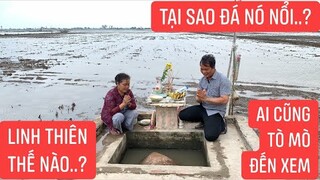 Chuyện lạ Miền Tây.|| Hòn đá linh thiêng tự lớn lên theo thời gian giữa vùng đồng bằng.