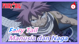 Fairy Tail | Manusia dan Naga_1