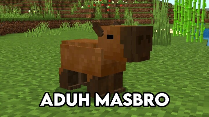 CAPYBARA DI MINECRAFT...