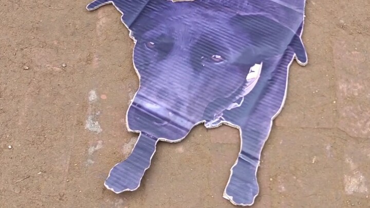 قصّة الورق بالشعر