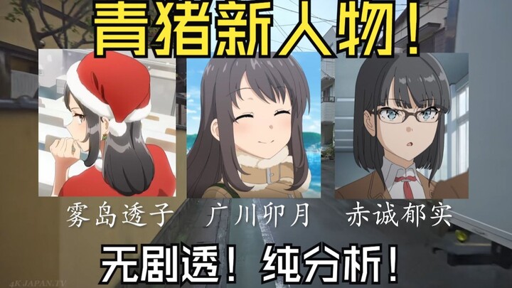 【青春猪头少年大学篇】浅谈一下大学篇新人物和高中篇里埋下的伏笔！无剧透纯分析！