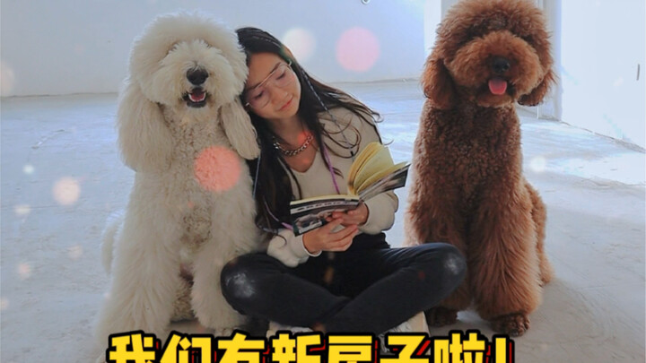 ودّعنا التشرد والتنقّل، أصبح لدينا منزل جديد!