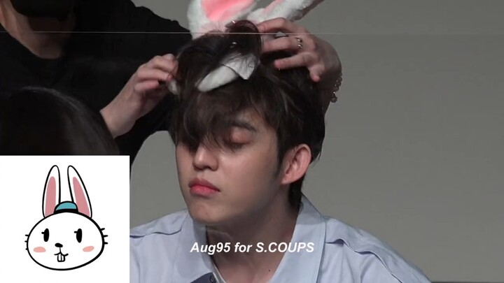 Góc nhìn khác về sự kiện thỏ tai cụp bị tai thỏ đánh