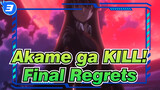 Akame ga KILL!|Final Regrets_3