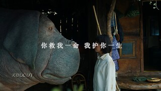 你救我一命，我护你一生。