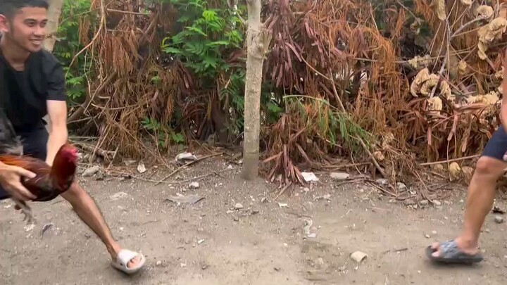 White kelso vs 5k sweater