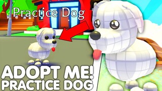 🤫HOW TO GET THE NEW PRACTICE DOG IN ADOPT ME!😱NEW SECRET PET RELEASED! (NEW UPDATE) ROBLOX