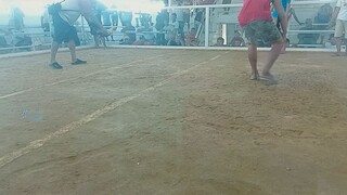 ARANTE FIGHTER GAME FARM WIN!