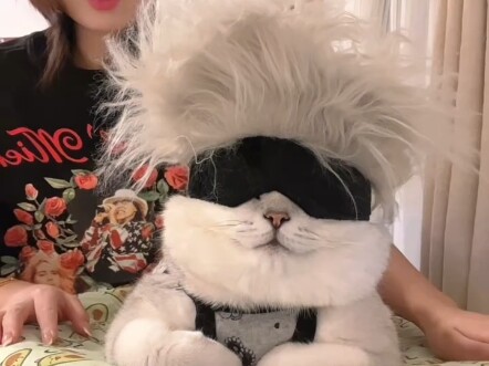 Fen’er has entered the cosplay world! So handsome!