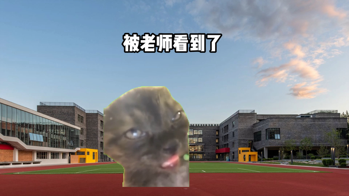 The High School Repeatedly Lashed