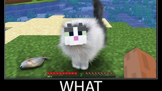 Minecraft รออะไร meme part 143 minecraft cat wool ที่เหมือนจริง