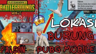 WOW!! CARA MENDAPATKAN BURUNG DI PUBG MOBILE /5 LOKASI LOKASI FALCON DI PUBG MOBILE - Bayu Akbar