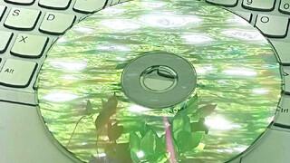 “梧桐枝丫疯长，爱意贯穿心脏。”