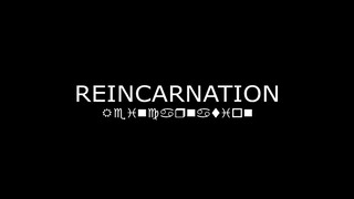 Undertale: Reincarnation (Sans & W.D. Gaster)