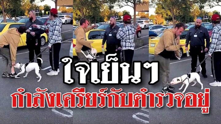 รวมคลิปตลกๆ : ไอ้โบ้ลูกรัก…ใจเย็นๆก่อนนะ!!