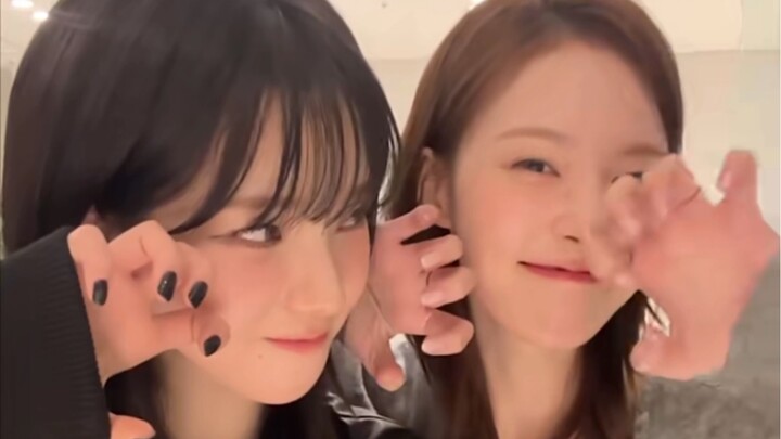 Dongyou Meimei got divorced