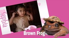 Sophia "Brown Frog"