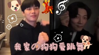 我家爱跳舞且舞蹈💃风格相似の🐶🐕